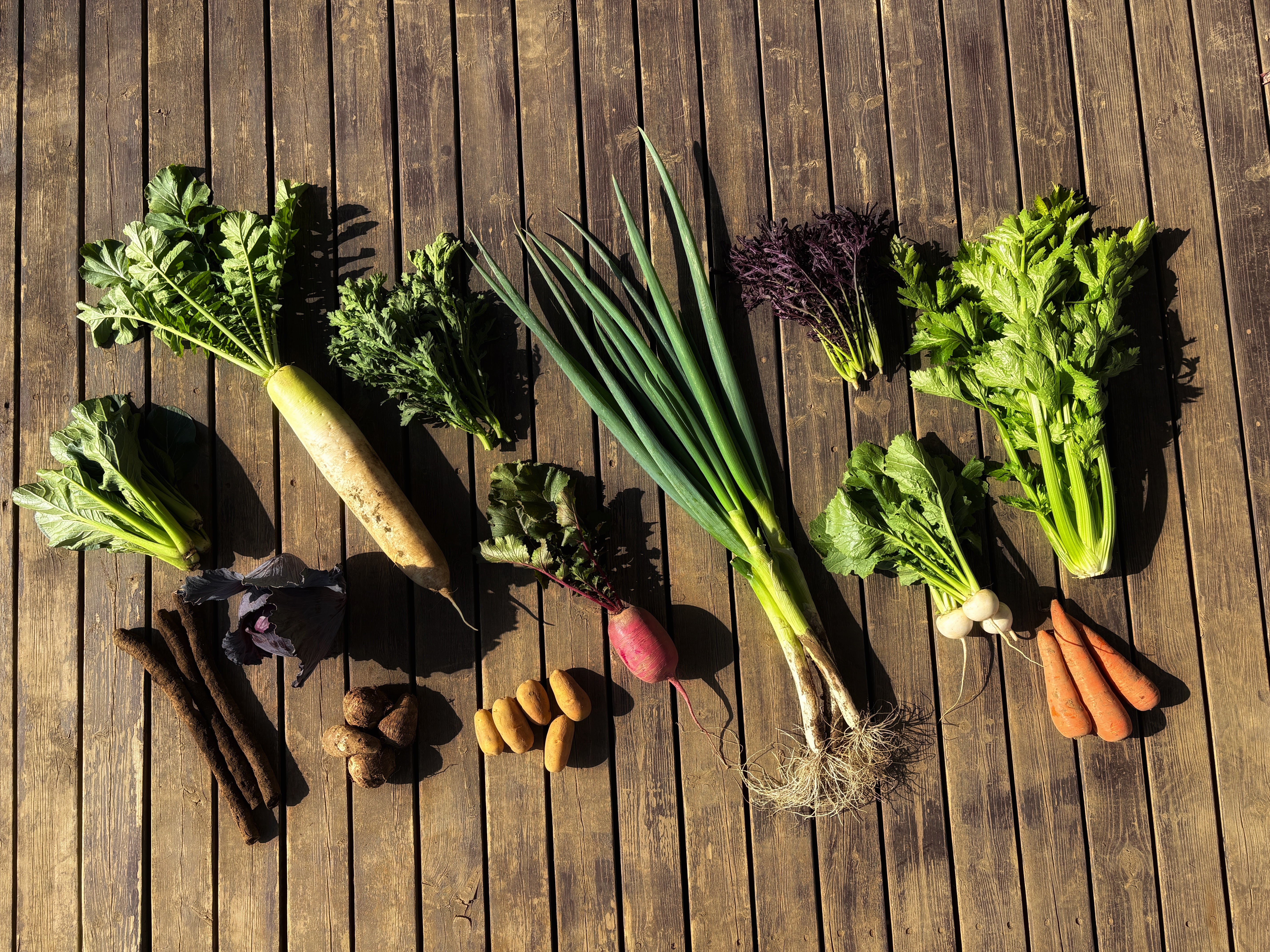 野バラの実　サイズミックスと松ぼっくりミックス25個‼️お客様ご注文品♪ 野バラの実 サイズミックスと松ぼっくりミックス25個‼️お客様ご注文品