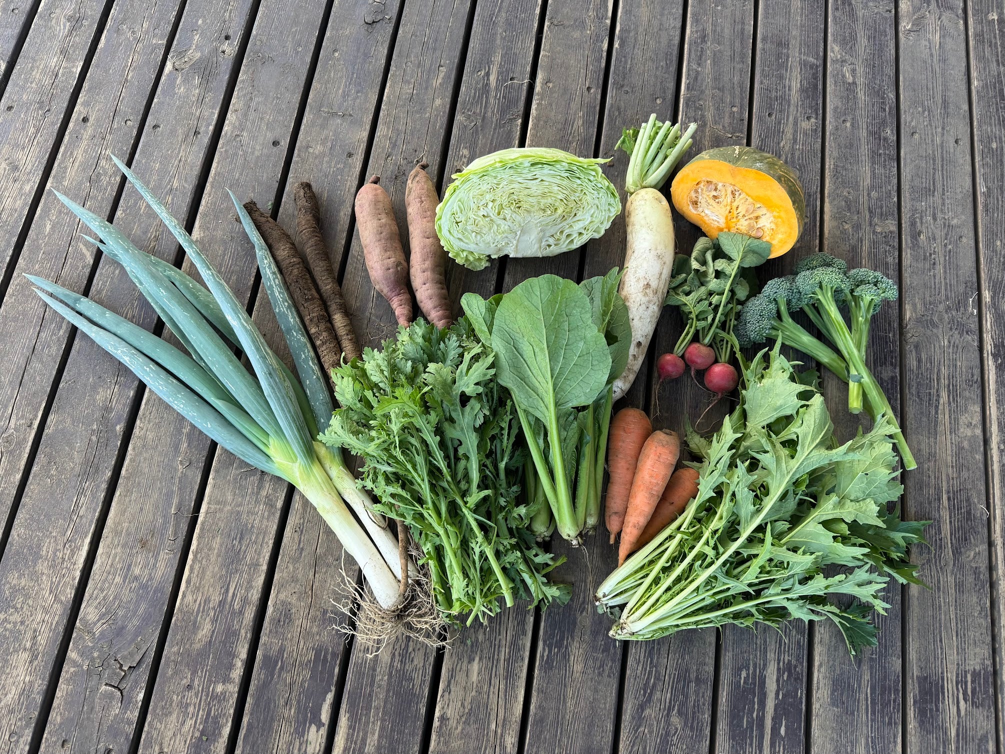野菜 野菜セット[単発]：Mサイズ – 久松農園オンラインショップ